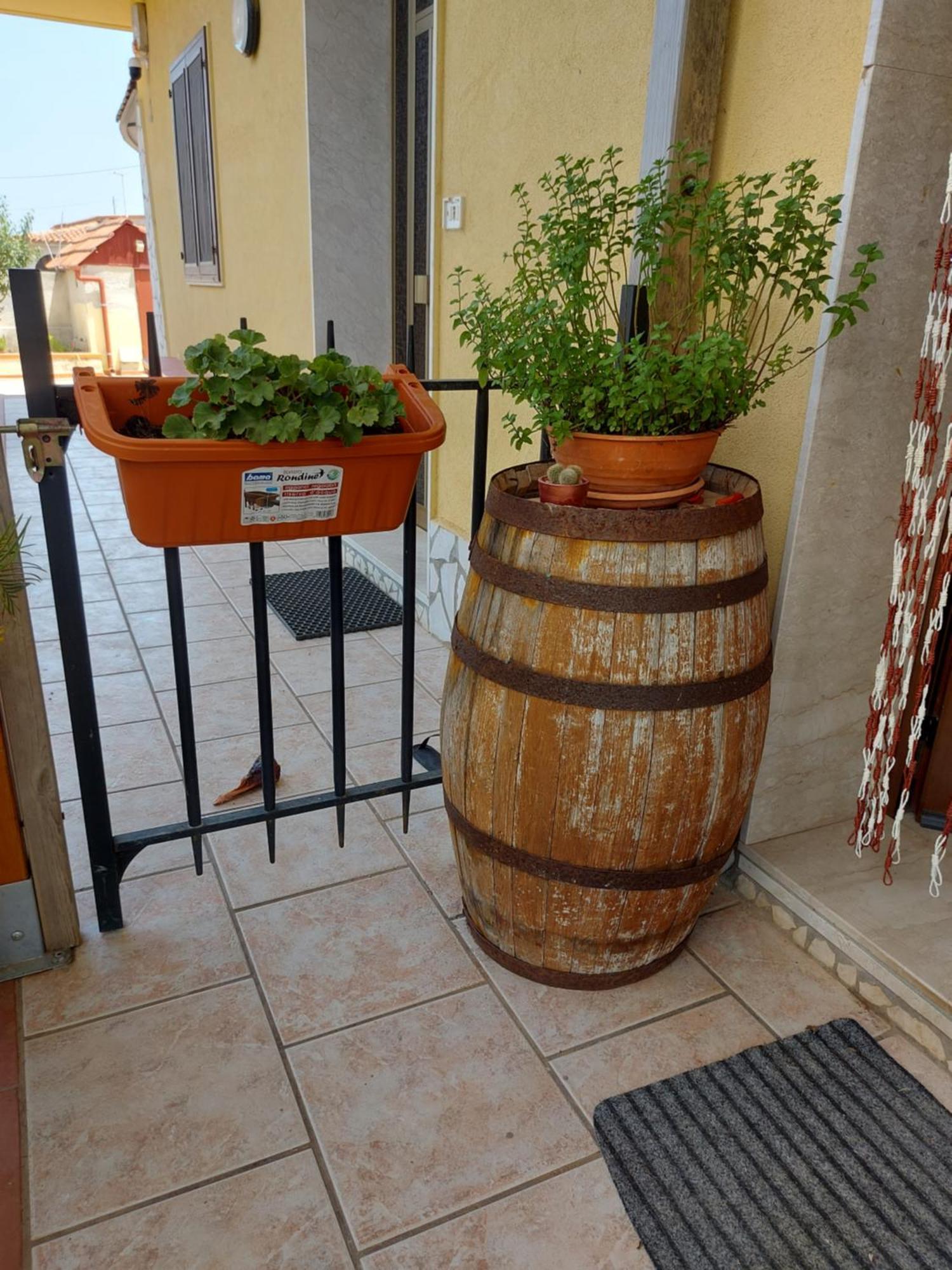 Holiday home Elorina Sicily Home *